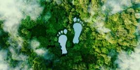 Umweltimpakt - Footprint